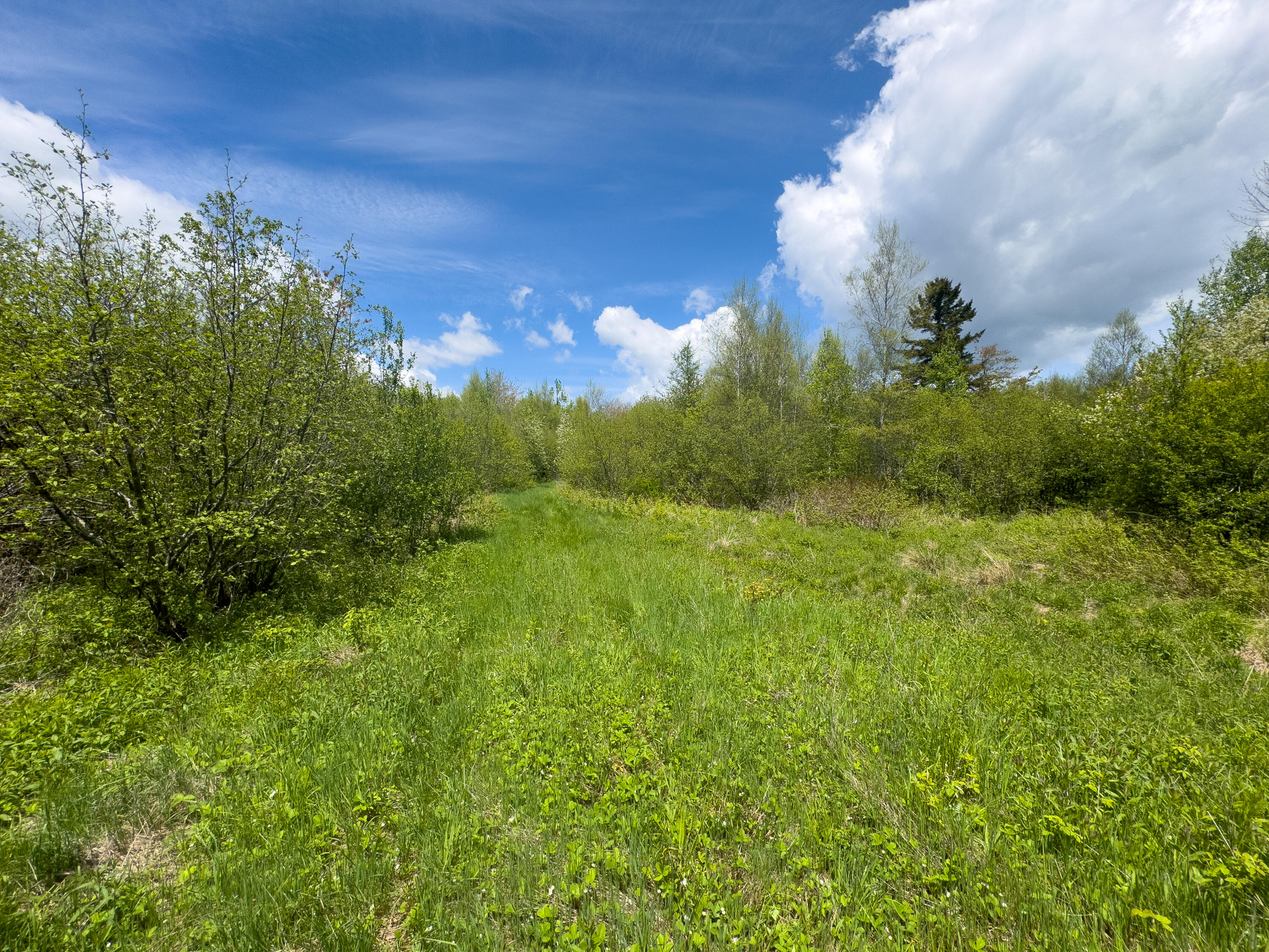 Lot 4 E Ridge Road, Cooper, ME 04657 RIDGE ROAD LOT 4-16