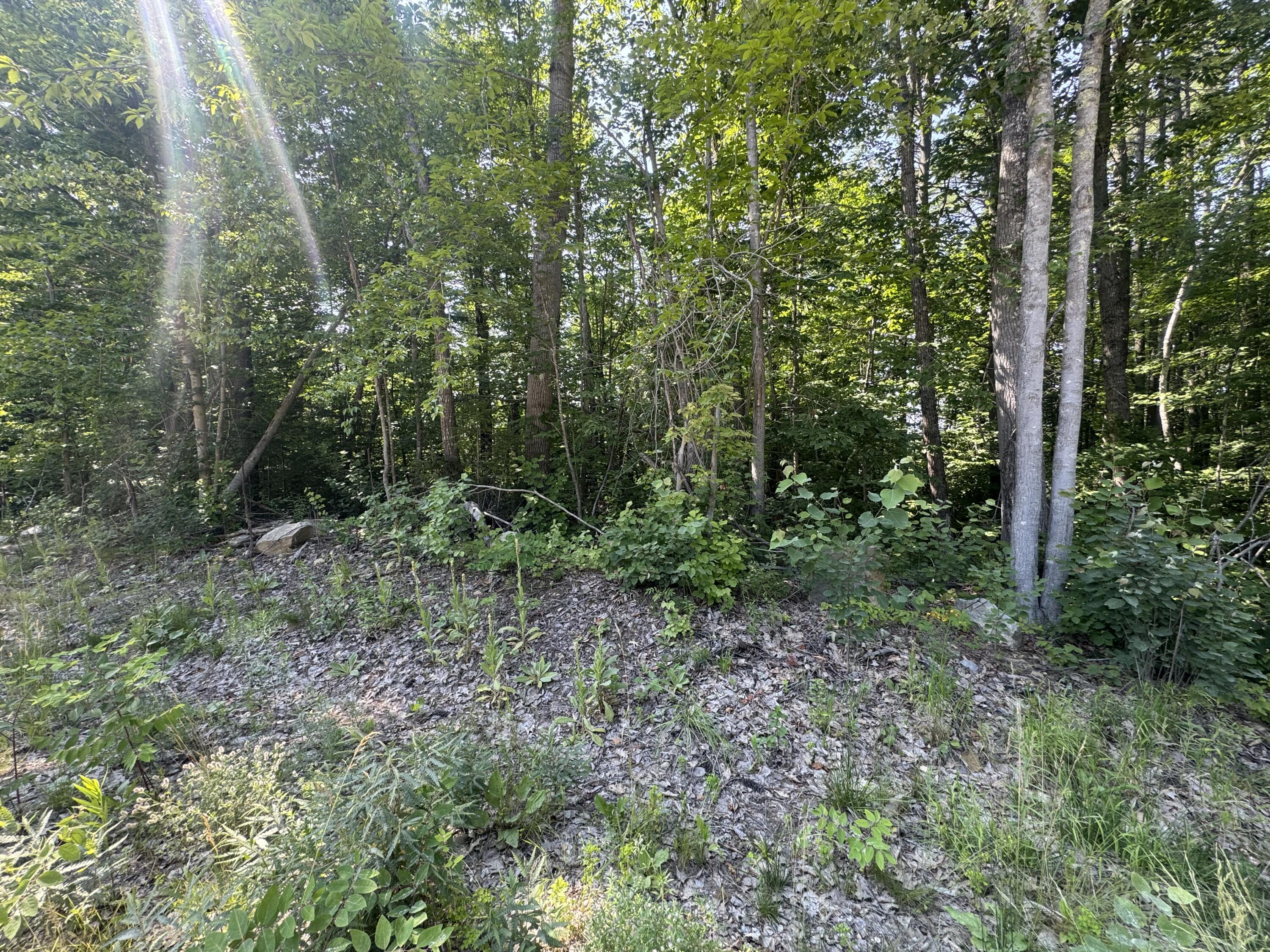 Photo of Lot 3 Fisher Drive Limerick ME 04048