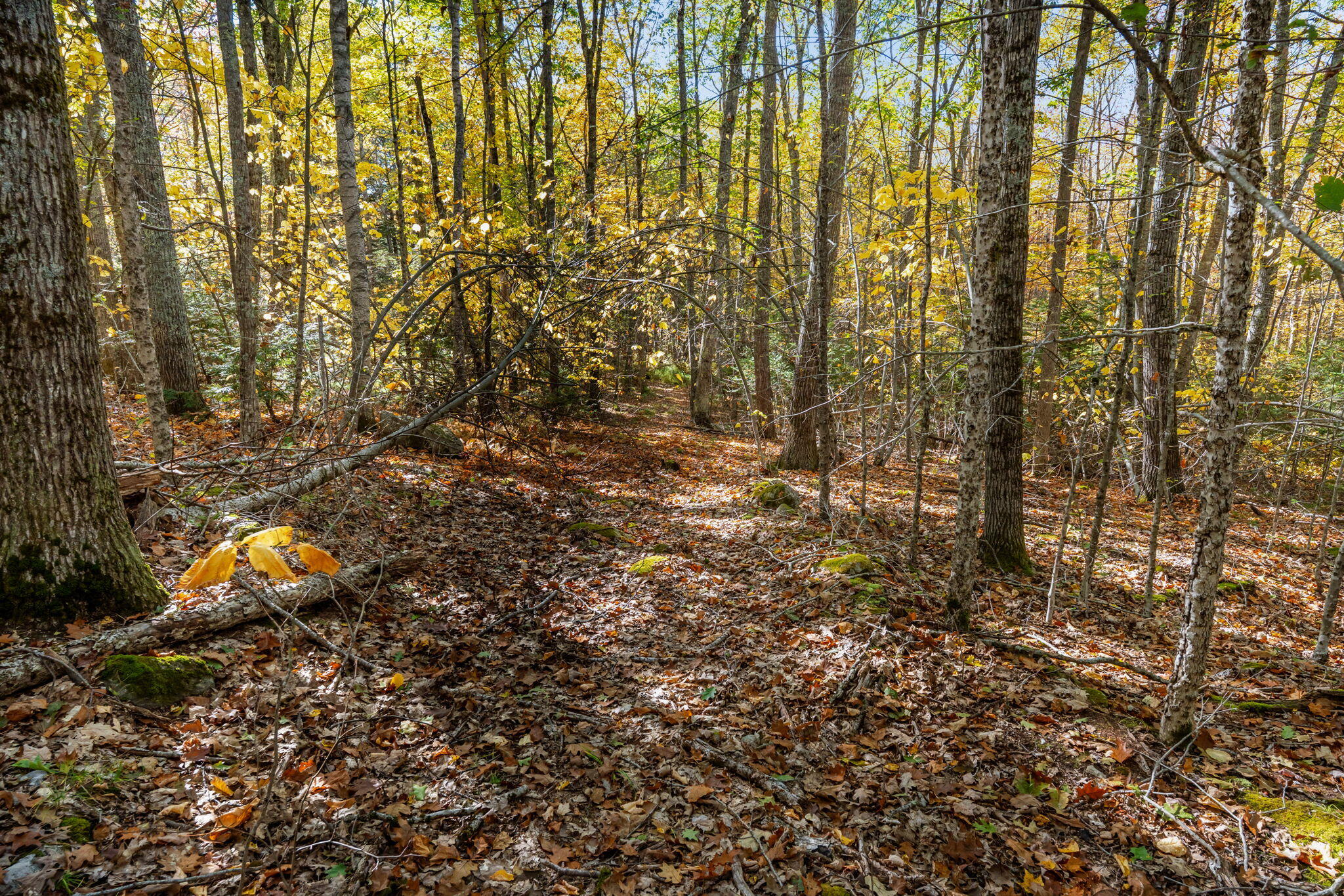 895 Finntown Road, Warren, ME, 04864