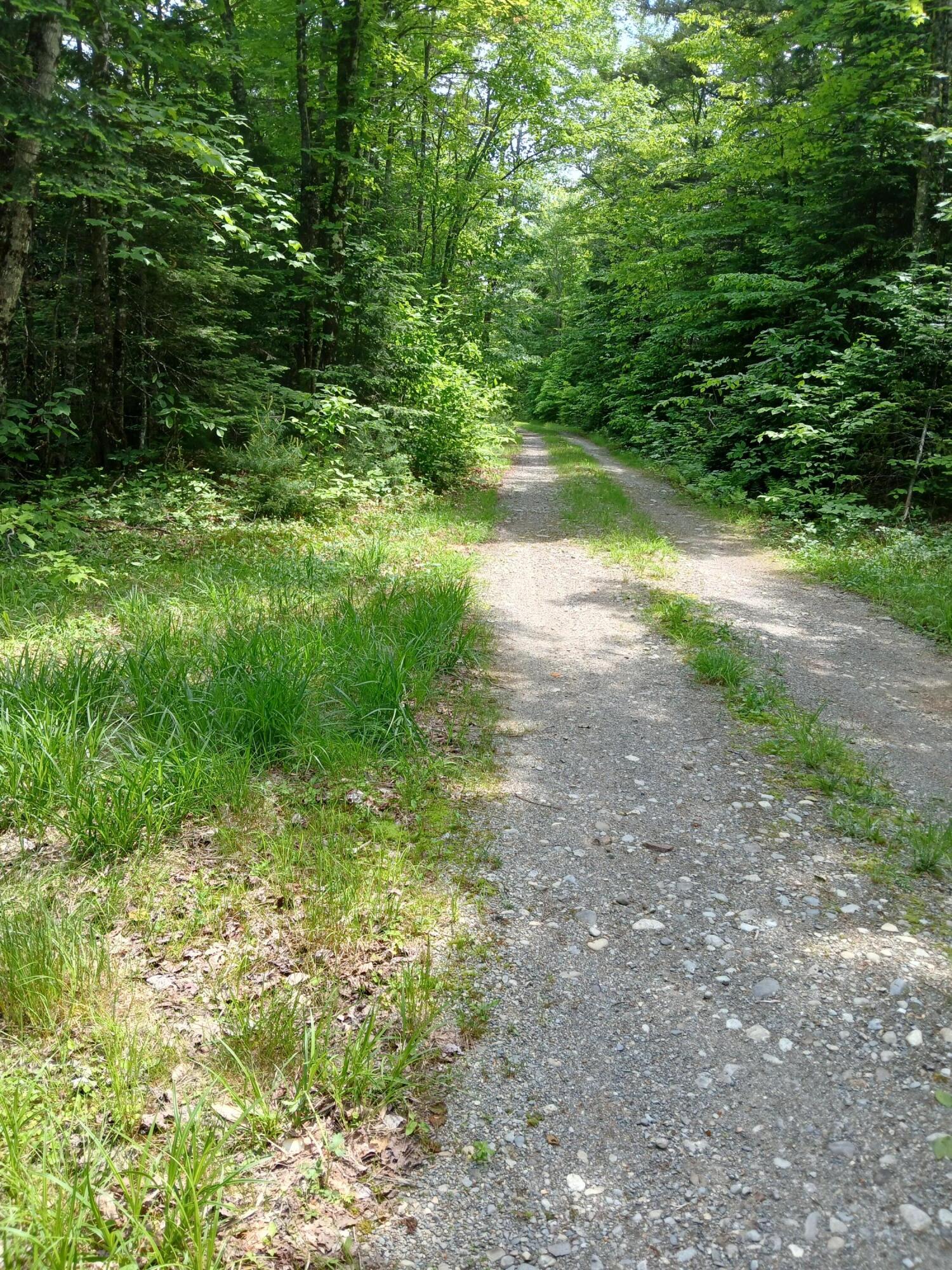 Lot UNIT&nbsp;16.2 Lane Pond Road, Carrying Place Town Twp, ME, 04961