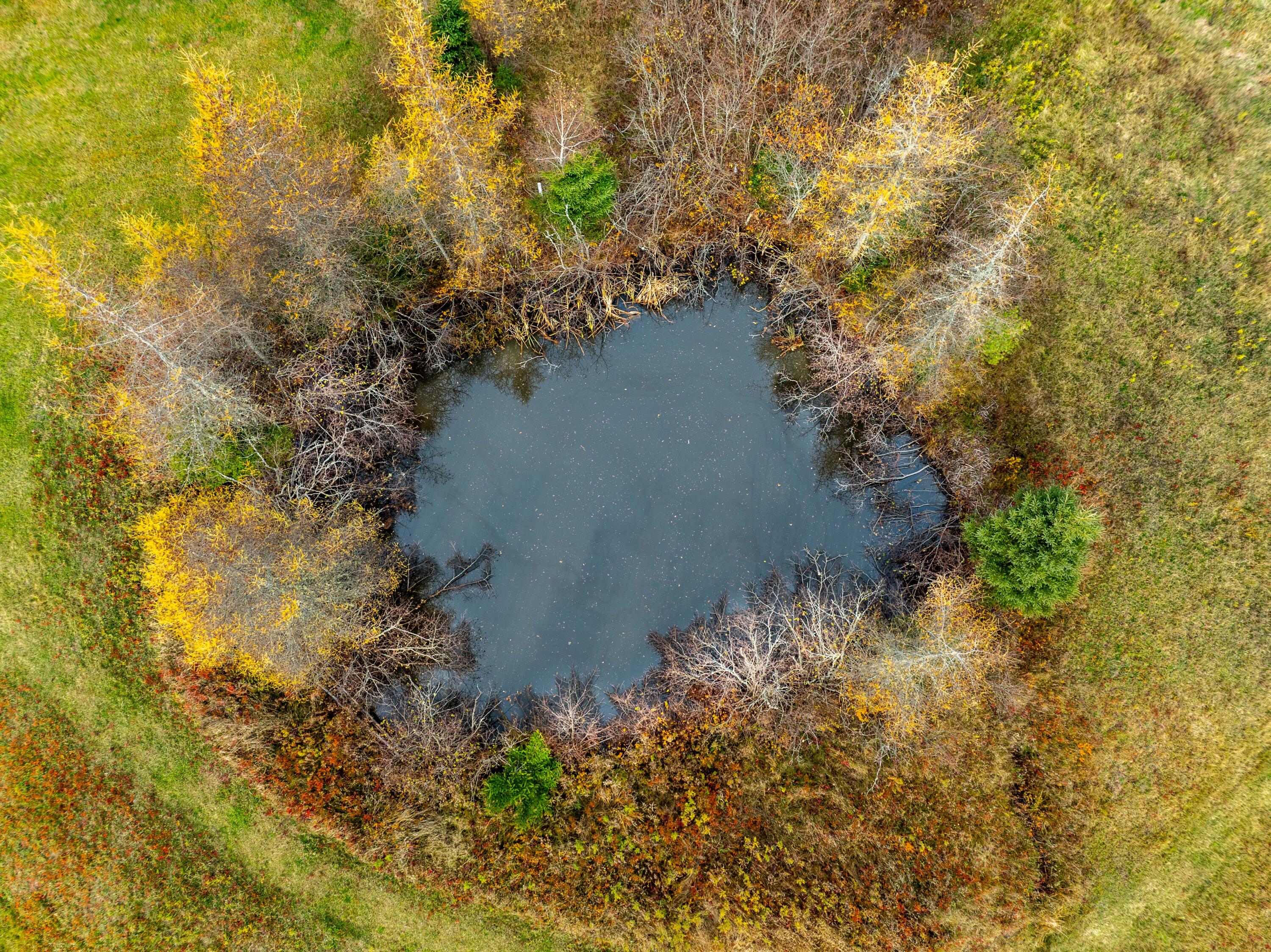 72 Old US Rte 1, Jonesboro, ME, 04648