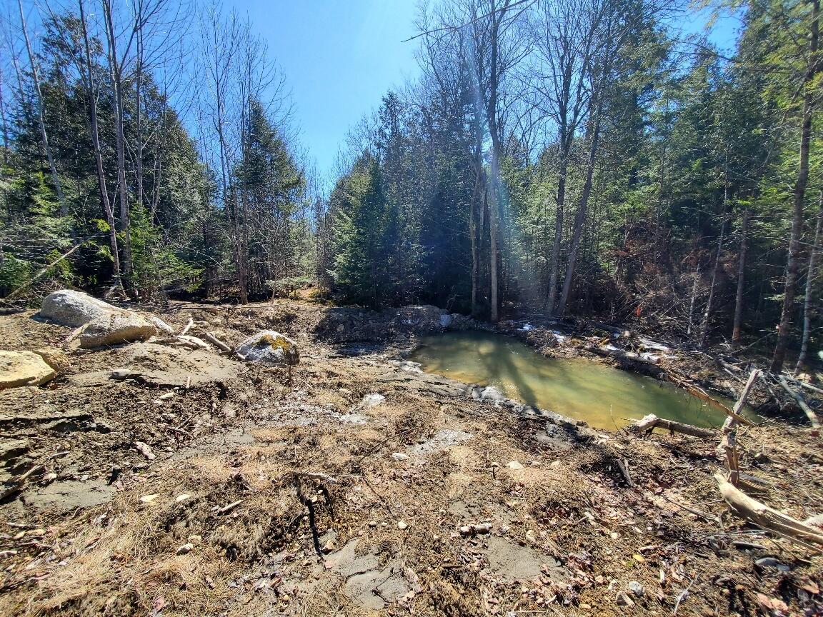 0 Pioneer Path UNIT Lot 5, Aurora, ME, 04408