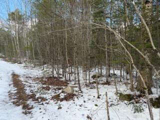 Lot 068002 Shore Road, Bremen, ME, 04551