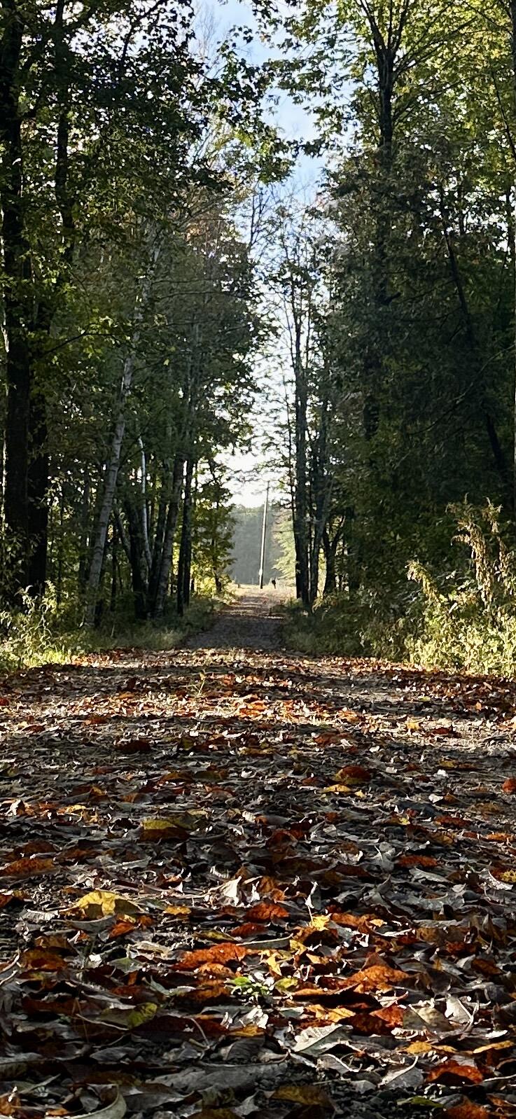 119 Reynolds Road, Brooks, ME, 04921