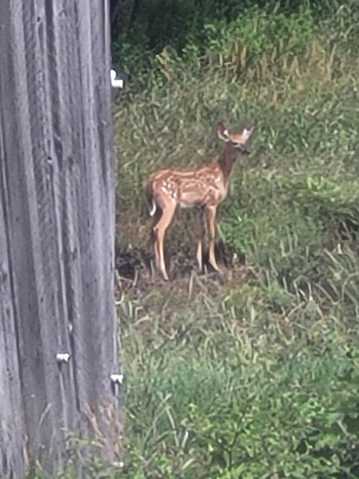 38 Kuvaja Road, Greenwood, ME, 04255