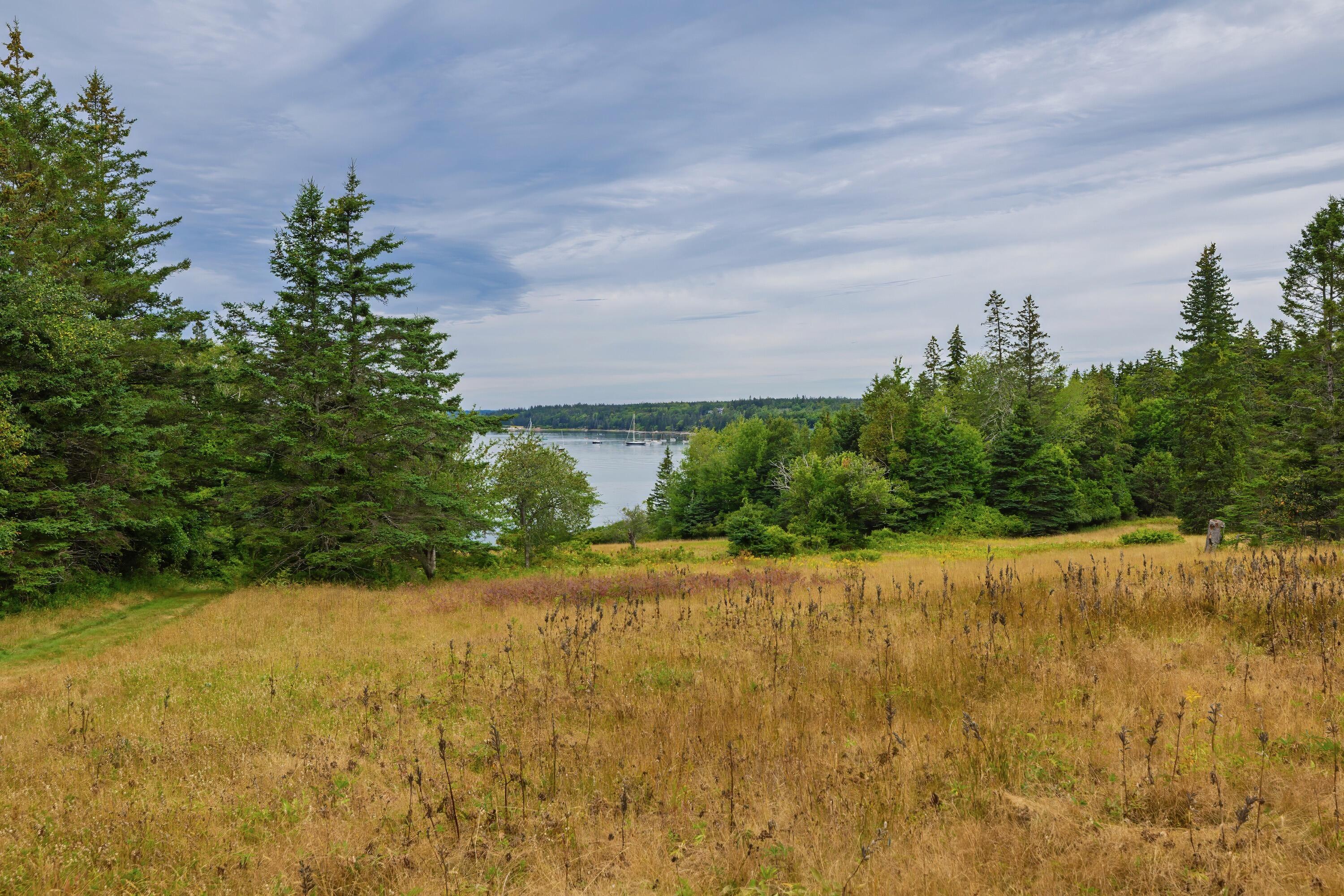 163 Back Road, Brooklin, ME 04616 164backroad - 143