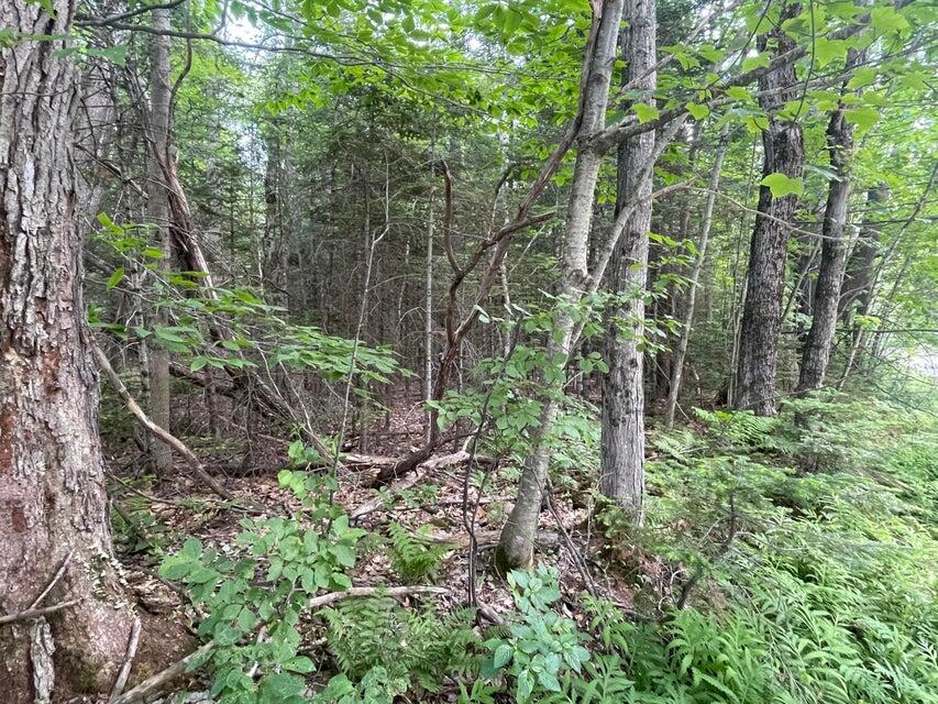 80 Gammon Road, Peru, ME, 04290