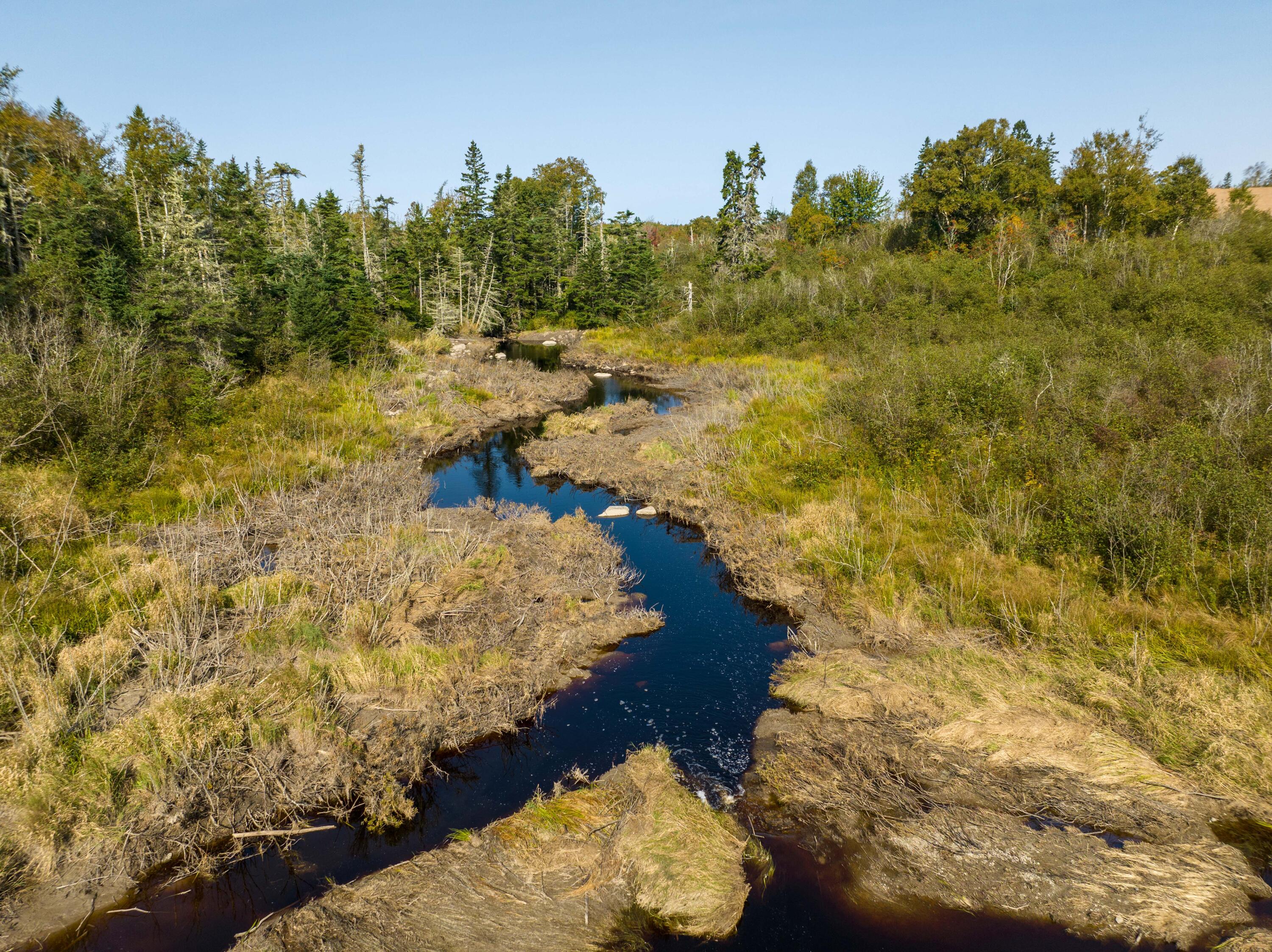 117 Denbow Road, Lubec, ME, 04652