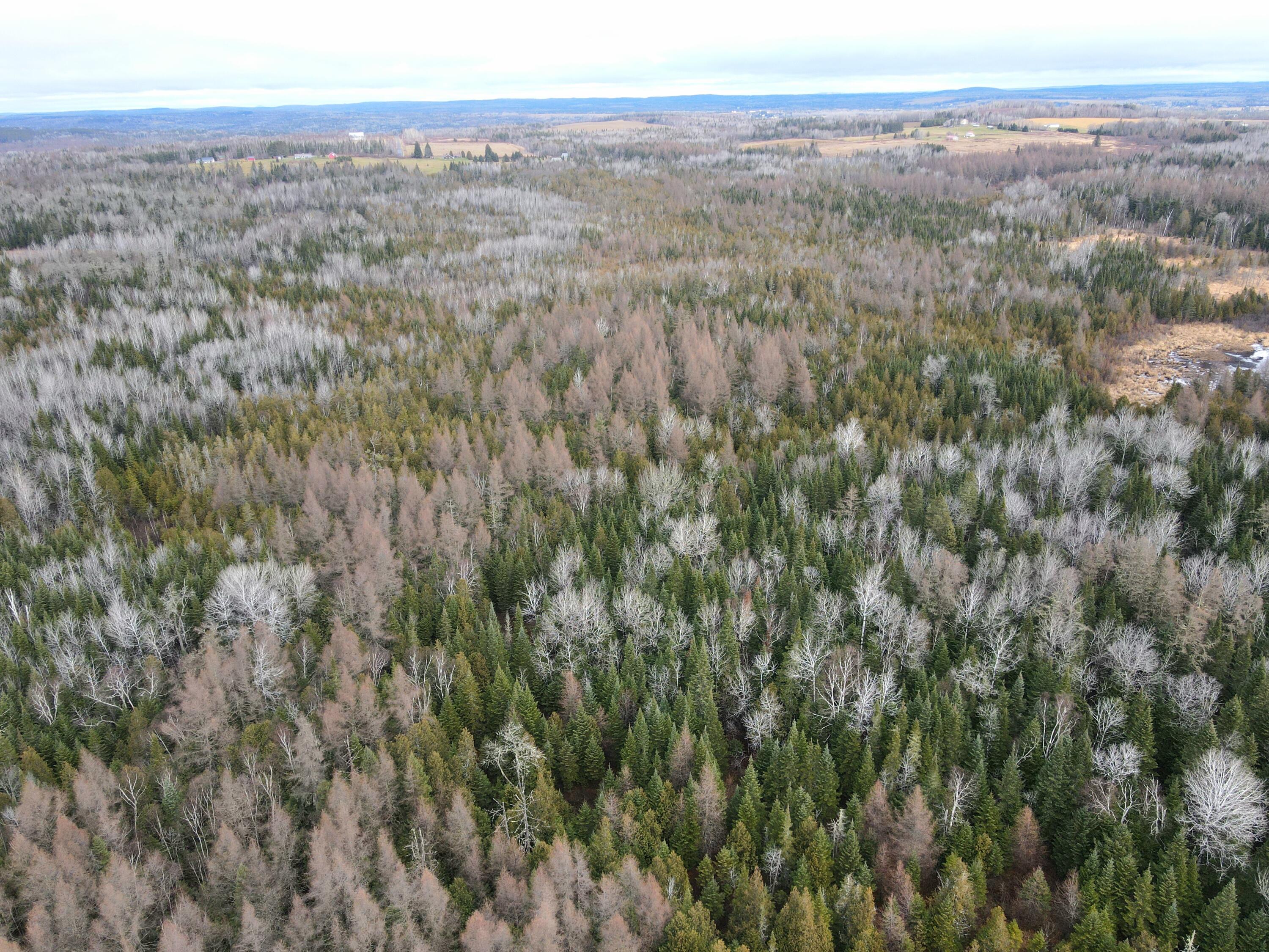 481 Plante Road, Caribou, ME, 04736