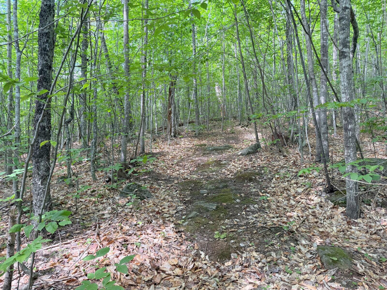 Photo of TBD Map FR 028 Plan 01 Lot 19 Washington Twp ME 04294