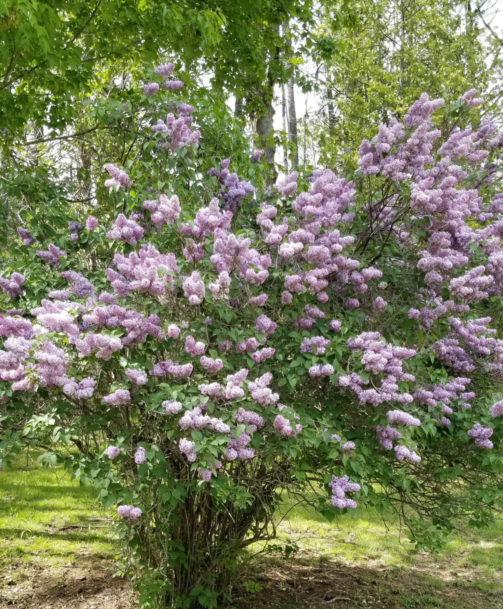 1522 Pushaw Road, Glenburn, ME, 04401