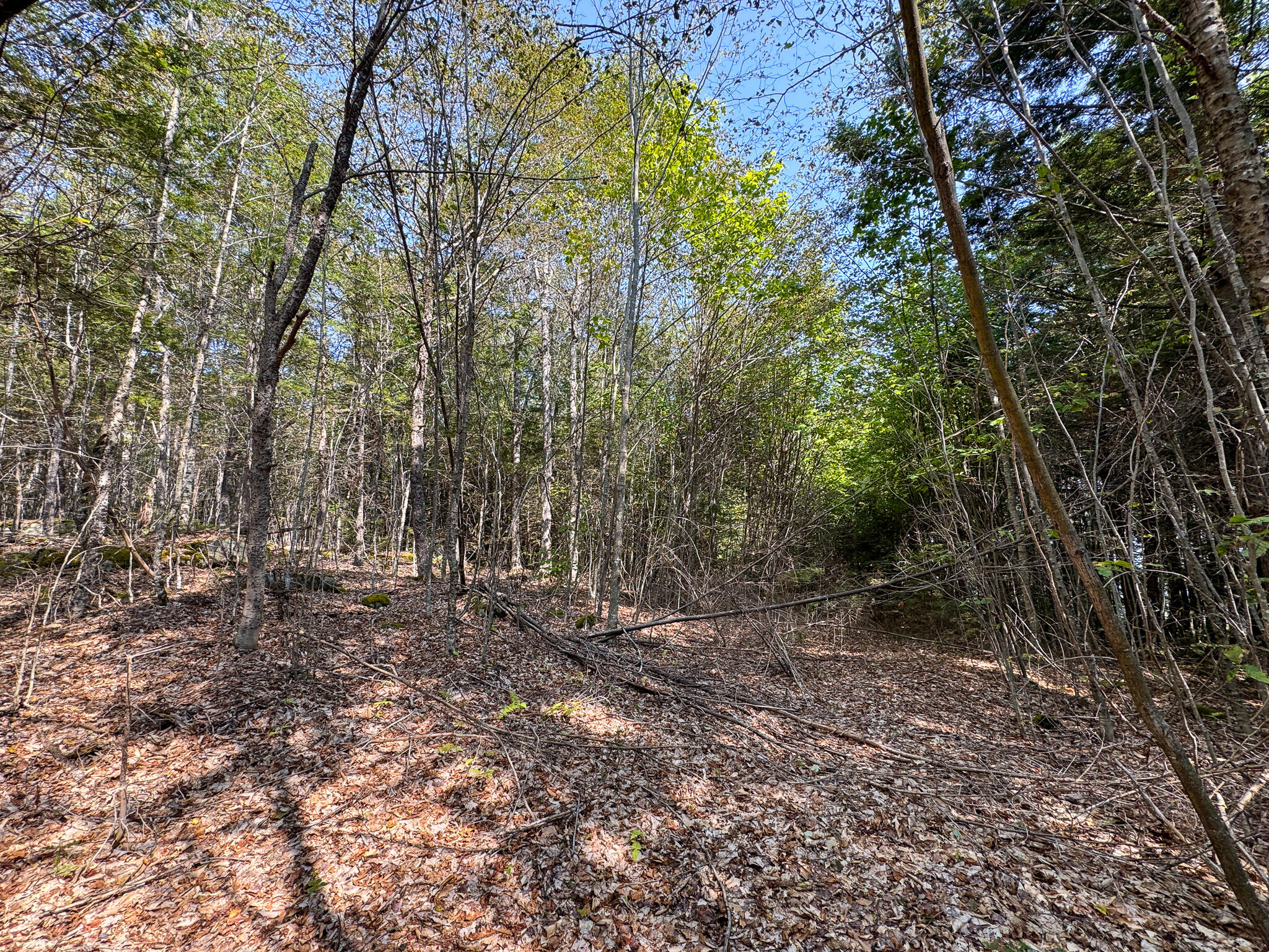 P/O M29L23 Bluff Road, Enfield, ME, 04493