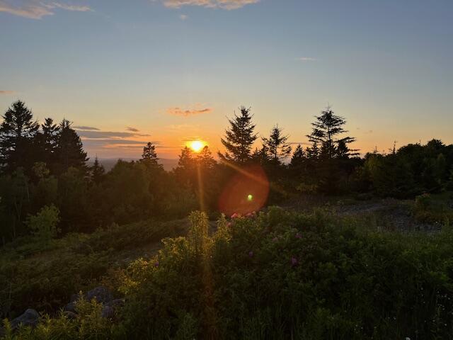 533 Mount Ephraim Map 4 Lot 63 Road, Searsport, ME, 04974