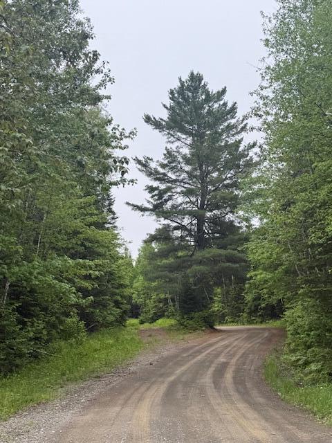 Lot UNIT&nbsp;3 Pleine Road, Saint Agatha, ME, 04772