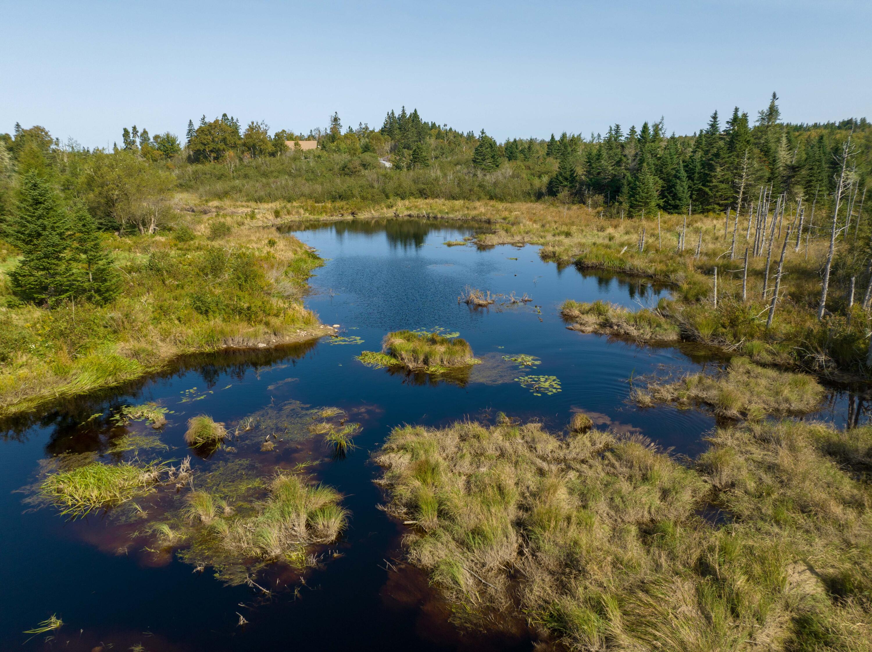 117 Denbow Road, Lubec, ME, 04652