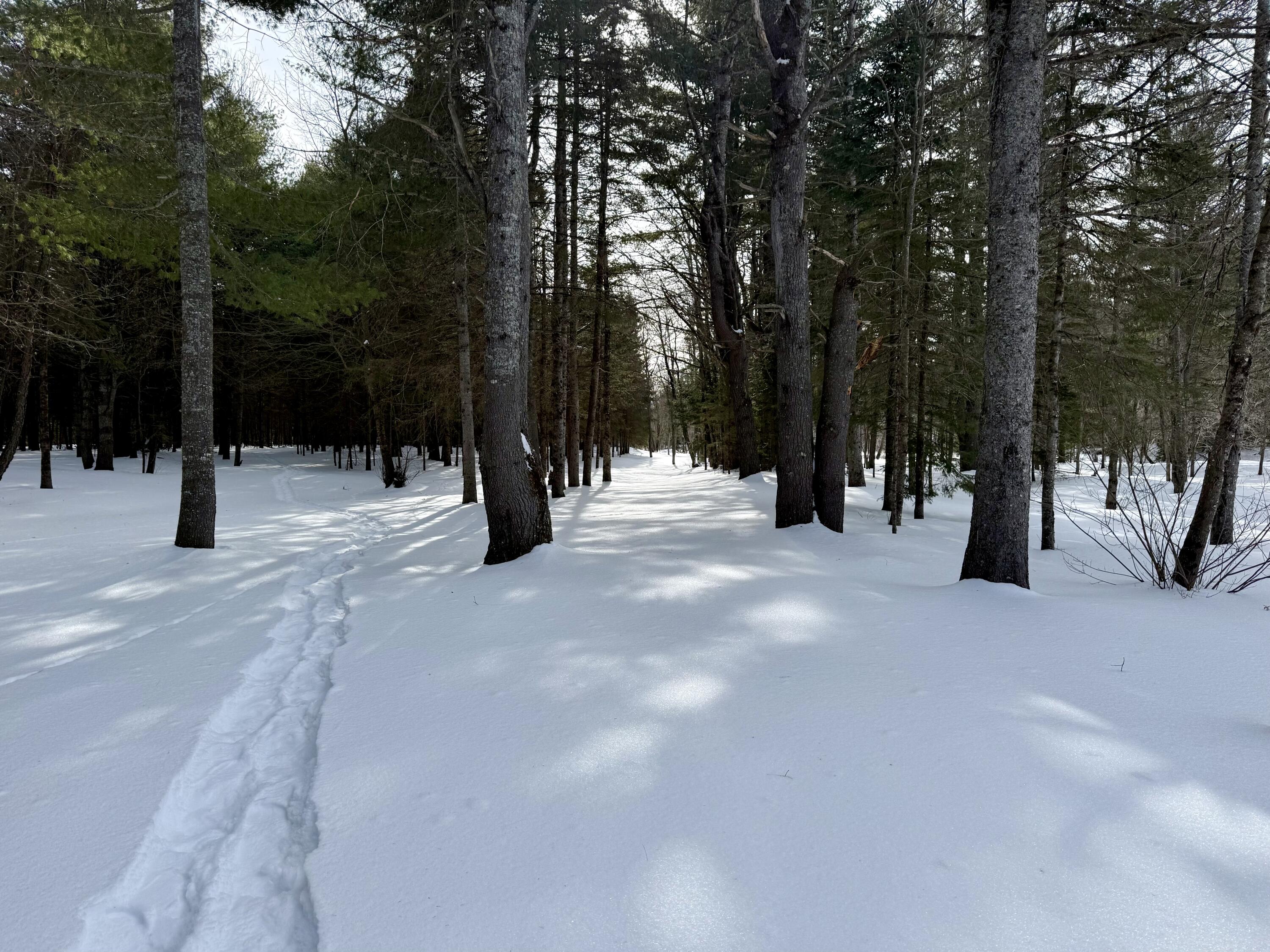 Lot 34 Meadow Wood Drive, Brownville, ME, 04414