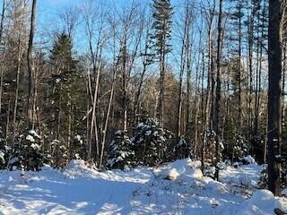 Lot 045 Sawyer Notch Road, Andover, ME, 04216