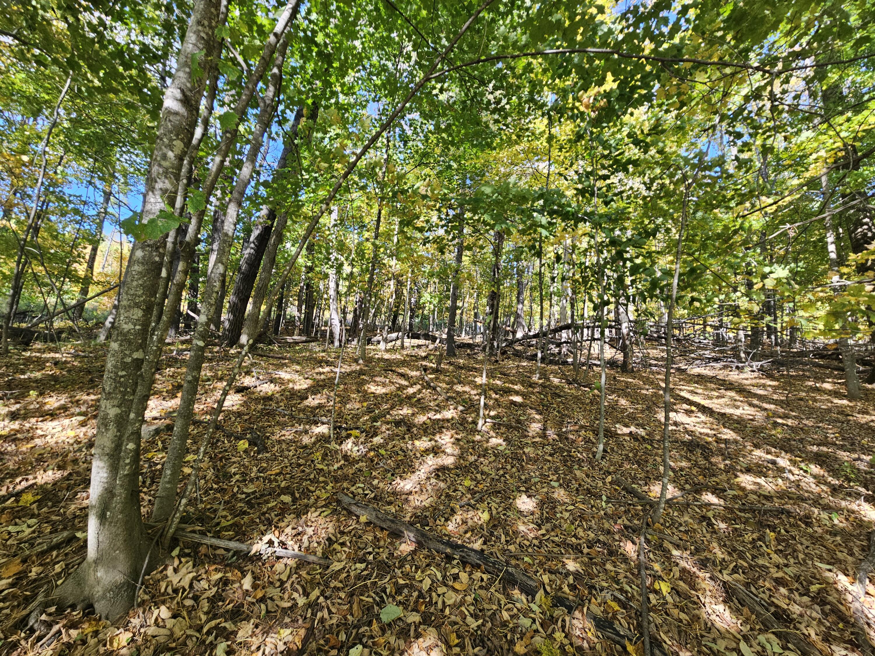 R-5 13-A Norton Hill Road, Strong, ME, 04983