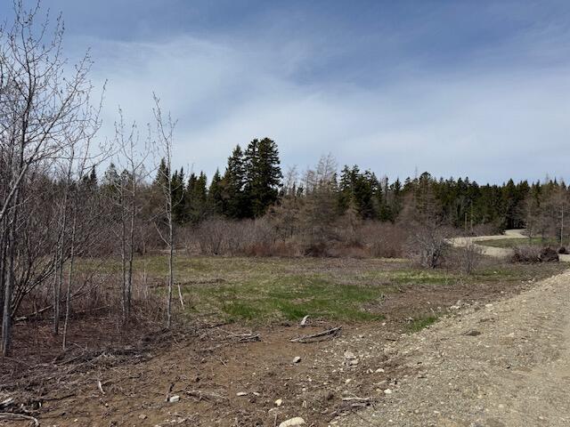 Photo of Lot 2 Holmes Bay Farms Road Whiting ME 04691