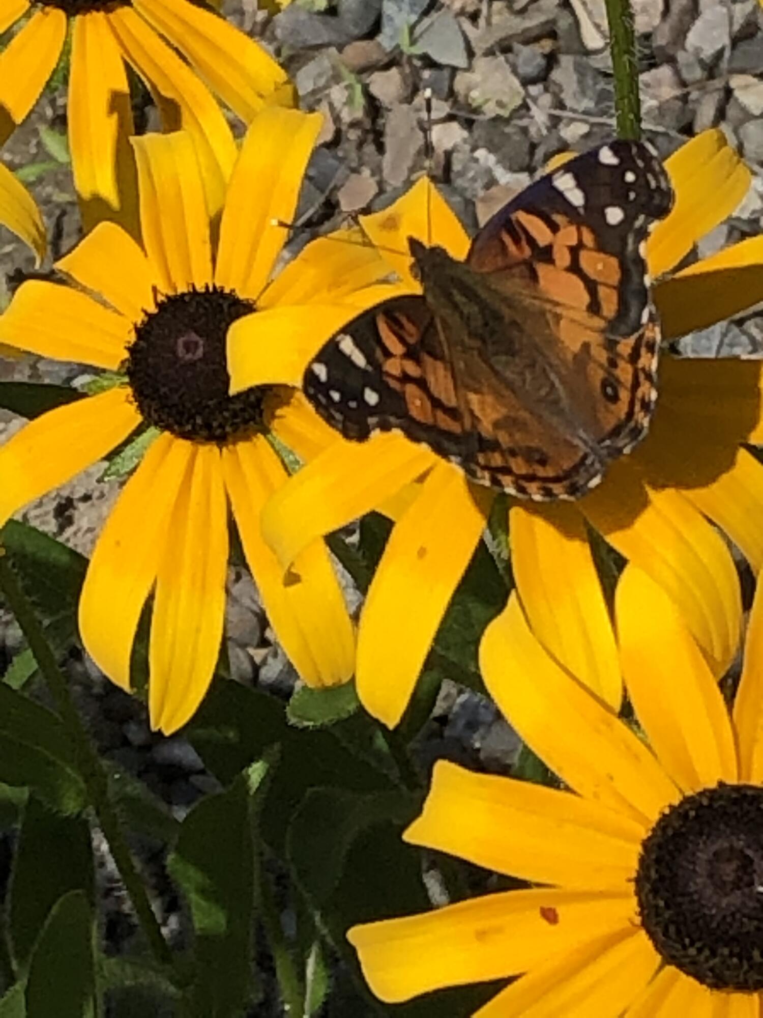 474 N Howland Road, Howland, ME, 04448