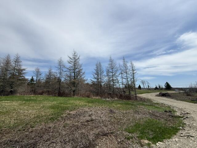 Photo of Lot 4 Holmes Bay Farms Road Whiting ME 04691