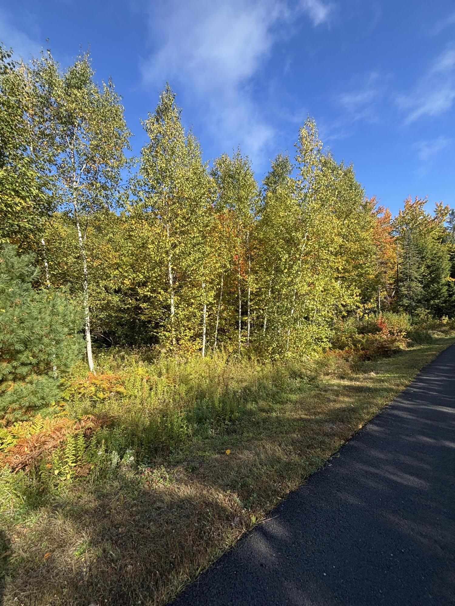 Photo of Lot #13 Pine Grove Lane Etna ME 04434