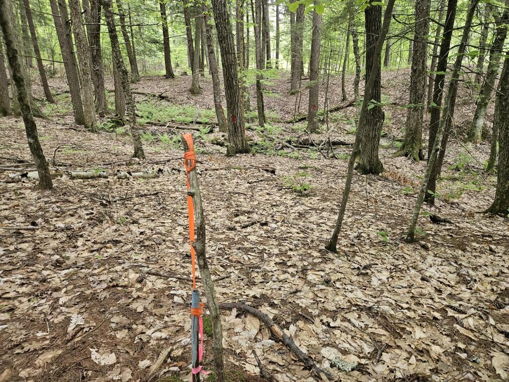 M10L44 Mountain View Road, Fryeburg, ME, 04037