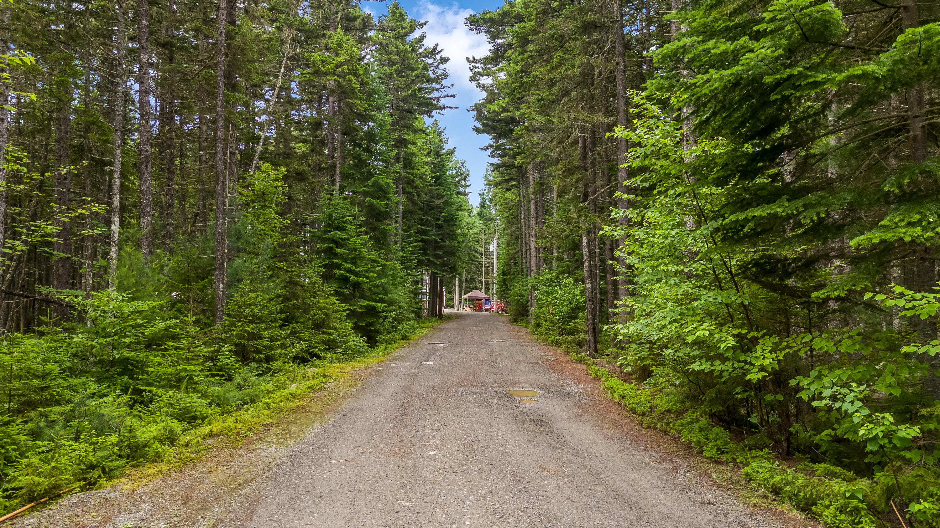 657 Bemis Road, Rangeley Plt, ME, 04970