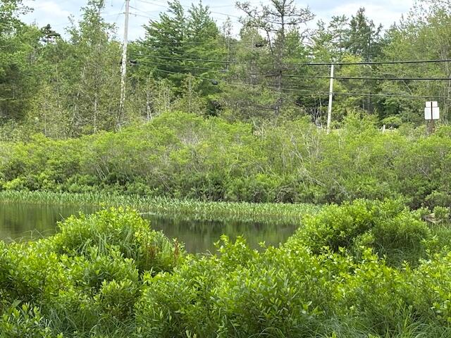 0 Dead Stream, Cooper, ME, 04657