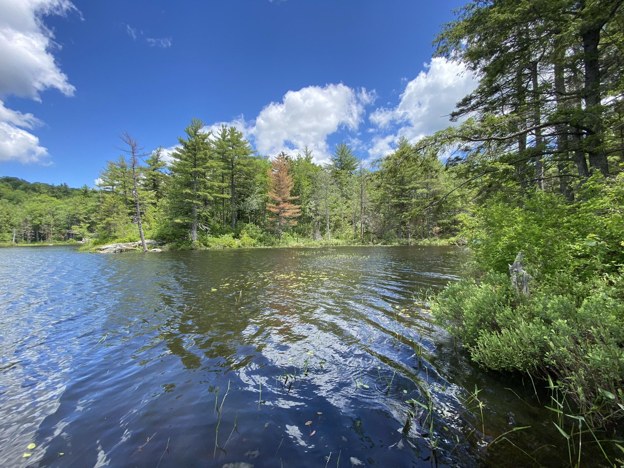 346 Bradeen Road, Sumner, ME, 04292