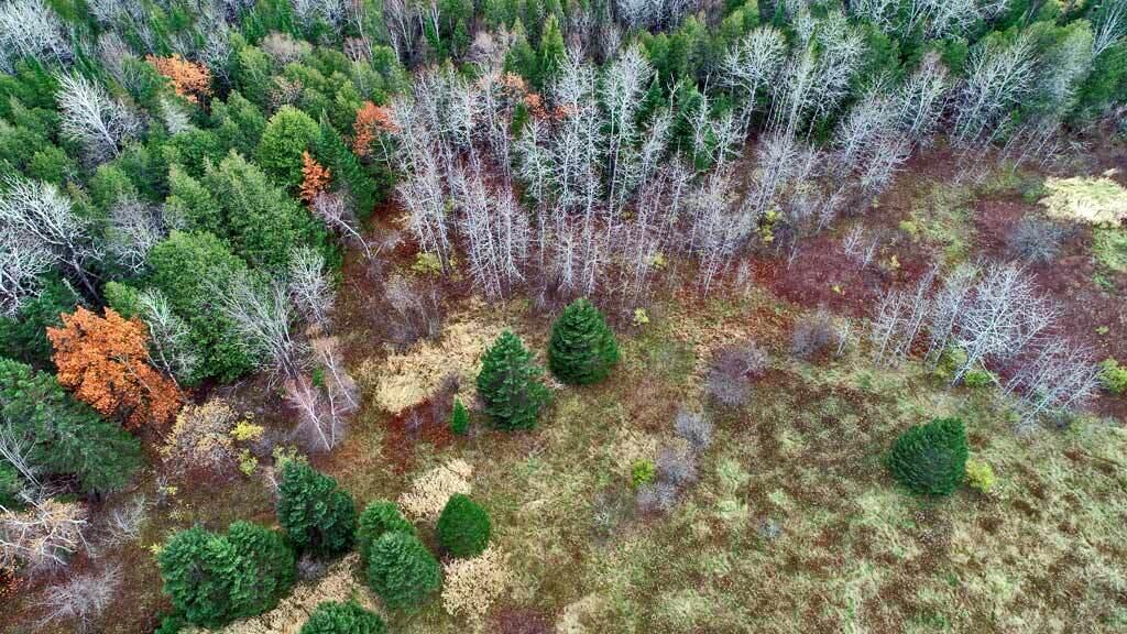 Lot 18 US RT 2 Highway, Sherman, ME, 04776