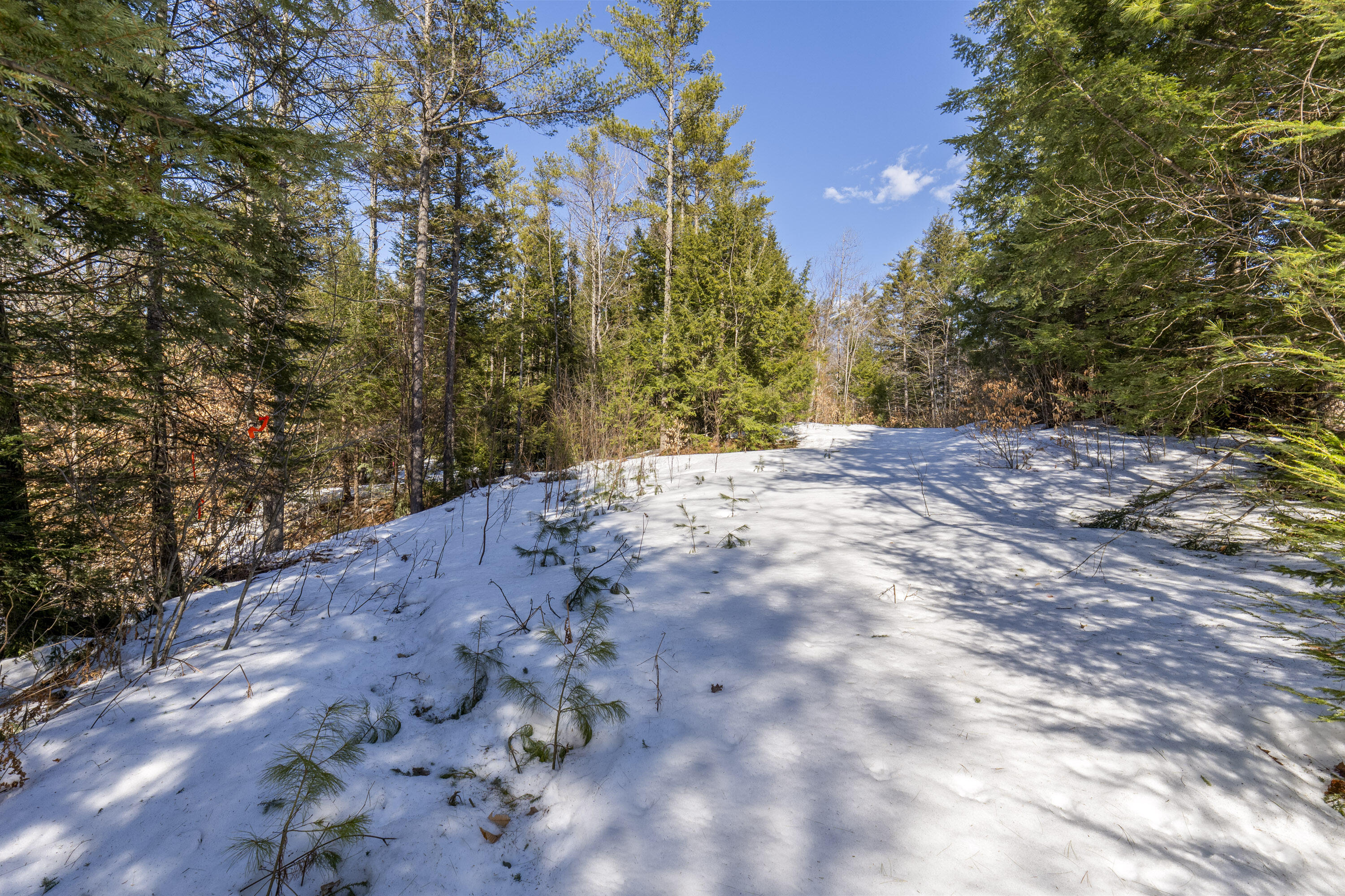 Lot 3 Intervale Road Subdivision, Bethel, ME, 04217