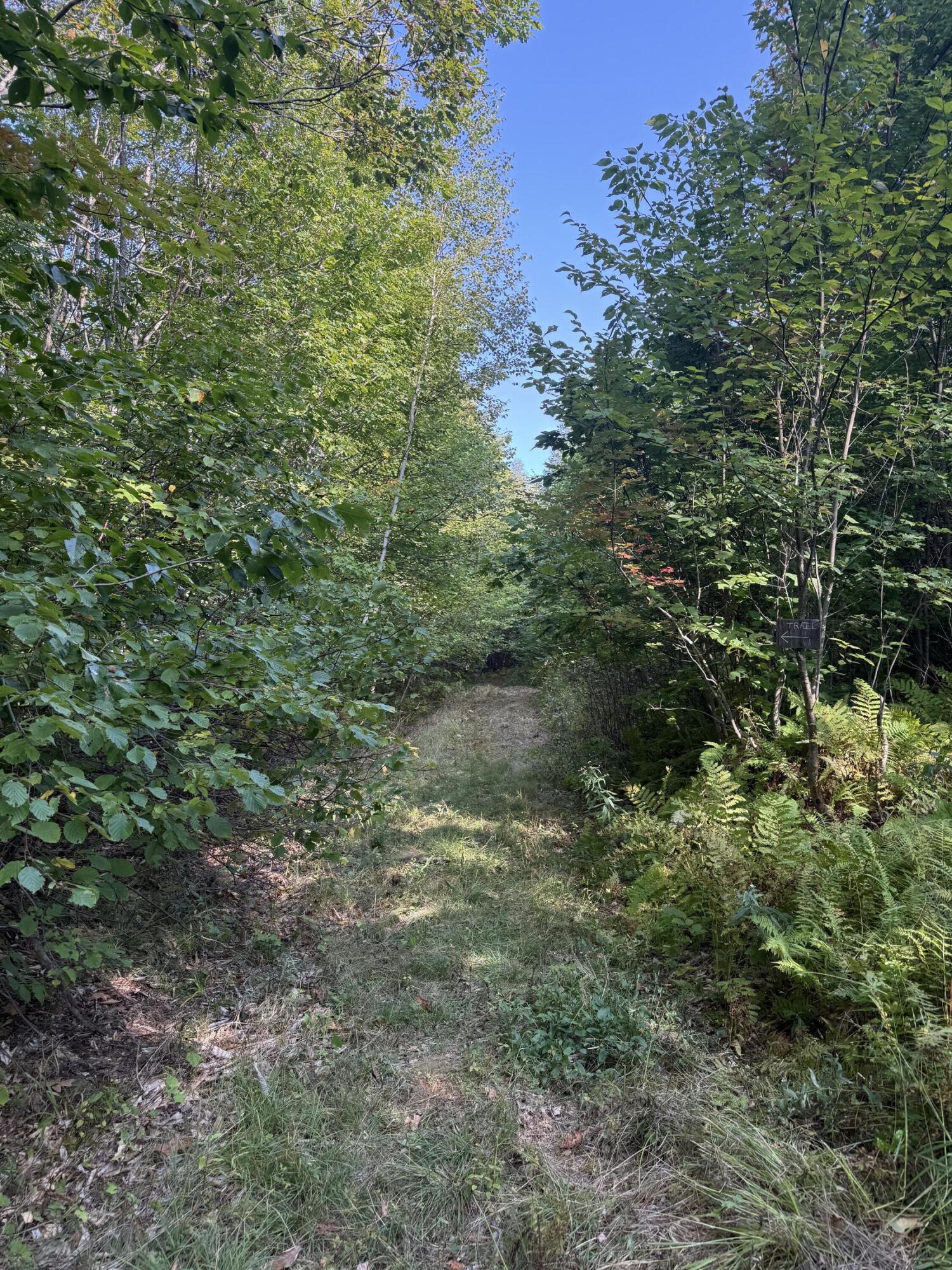 LotUNIT&nbsp;55 Arlines Way, Woodstock, ME, 04219