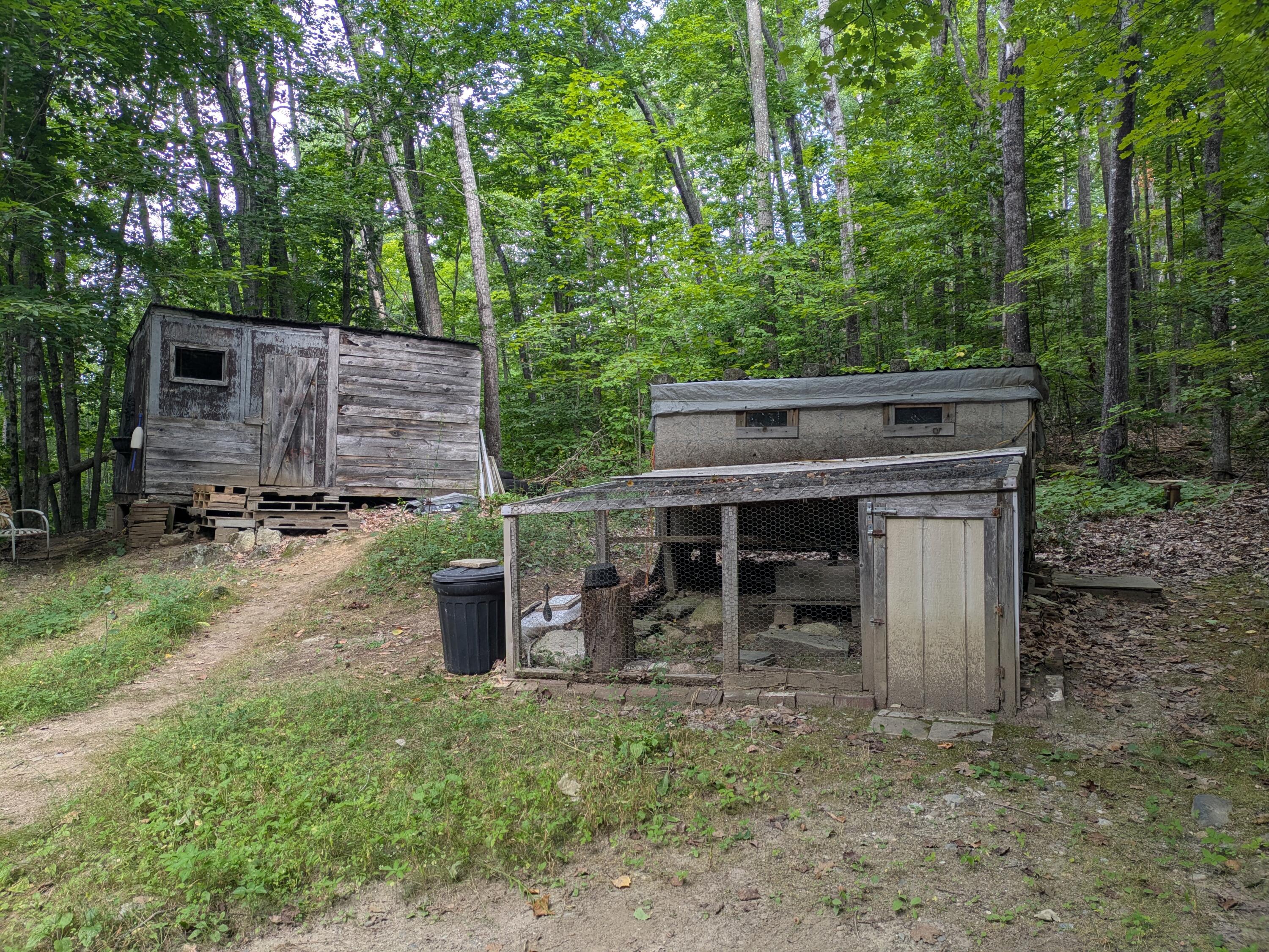 Chicken coop and shed