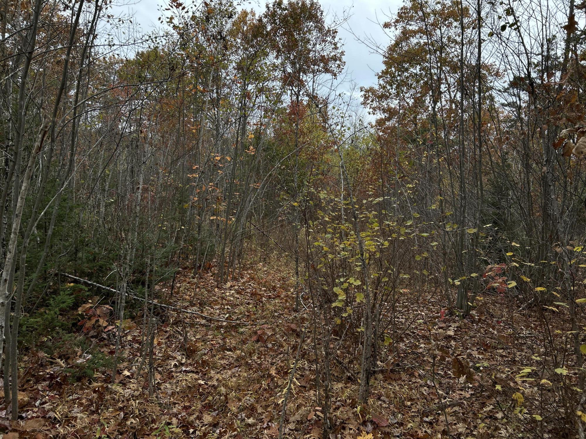 M4L18 Bog Road, Jackson, ME, 04921