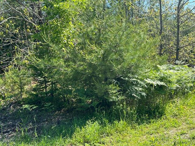 Lot UNIT&nbsp;5 Bonnie Way, Winterport, ME, 04496