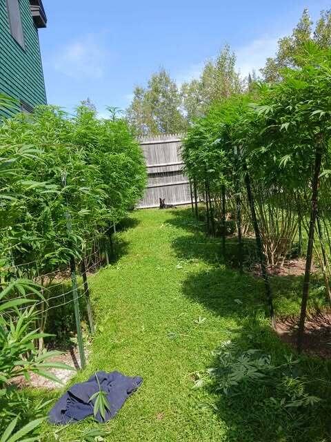 130 Farmers Hill Road, Andover, ME, 04216