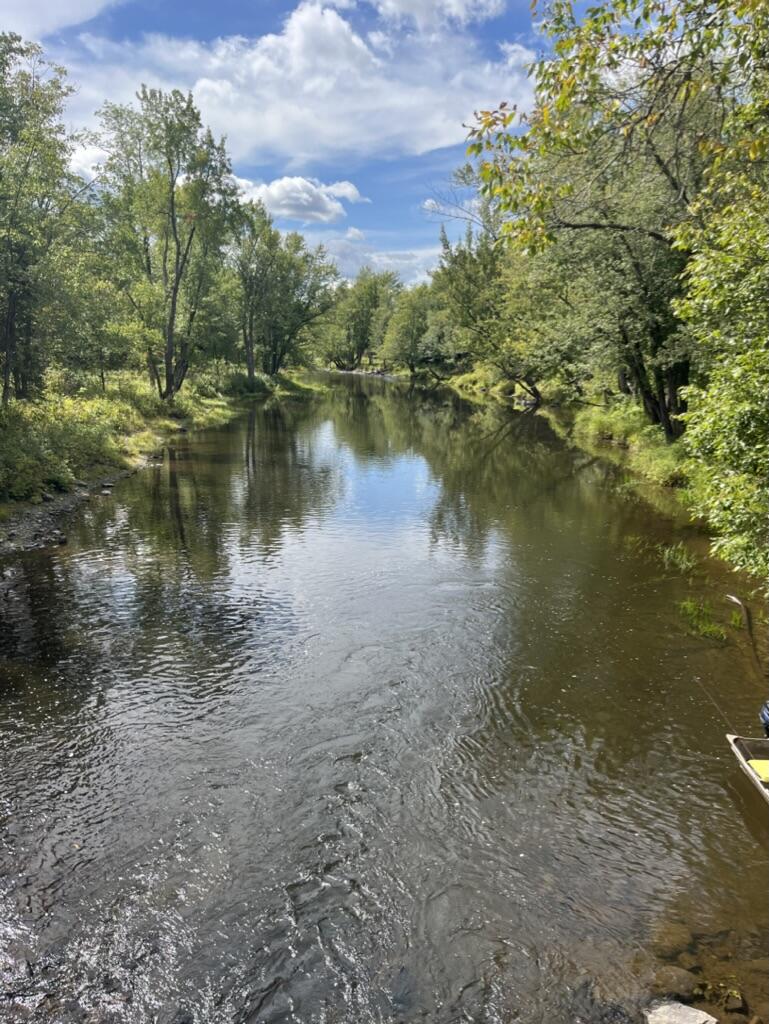 01-4 WA035, Trescott Twp, ME, 04652
