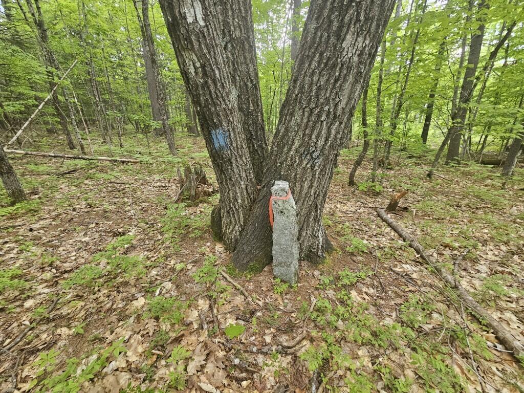 M10L44 Mountain View Road, Fryeburg, ME, 04037