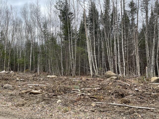 Lot 117 Big Snow Way, Rangeley, ME, 04970