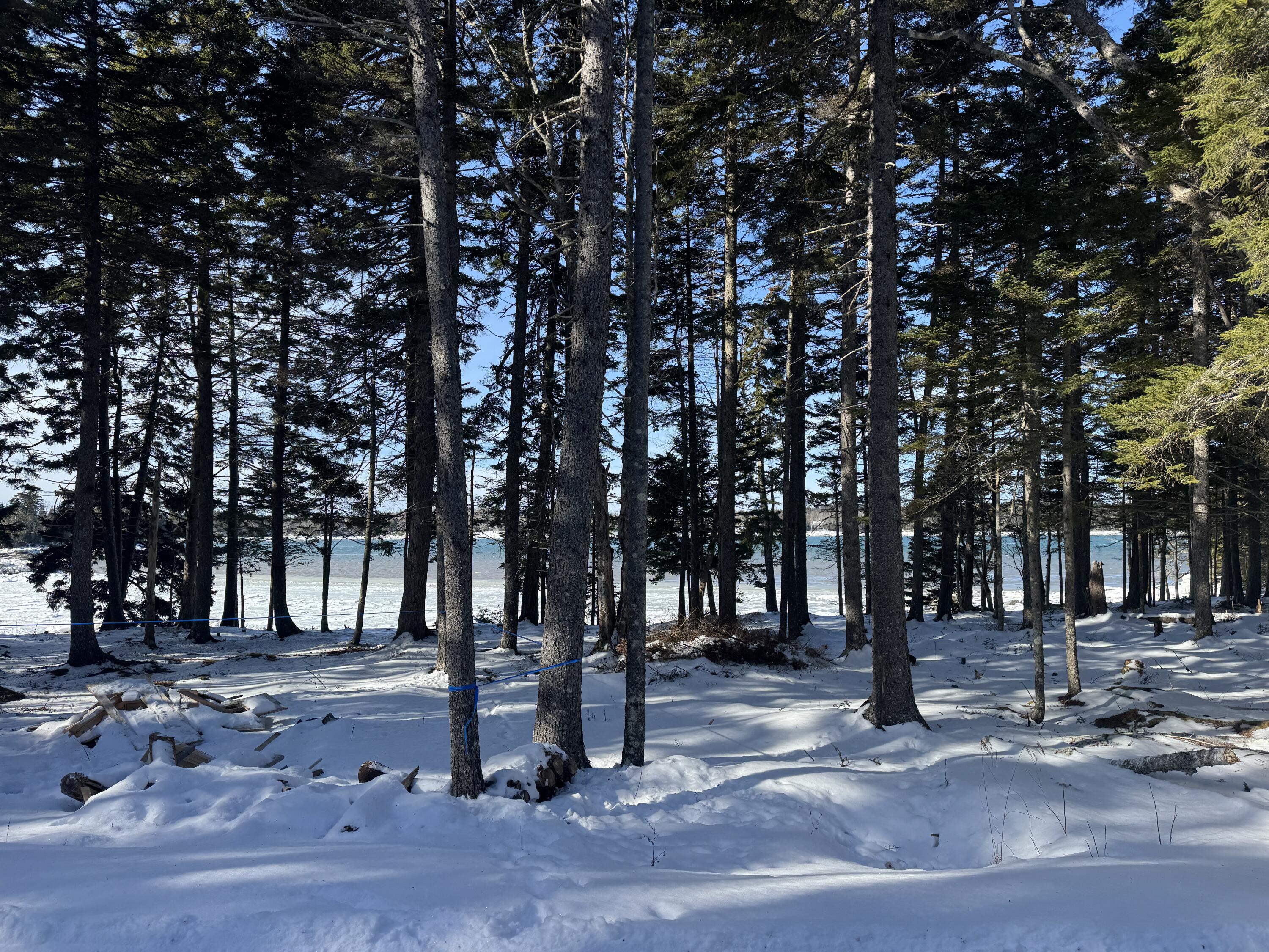 Lot B Fort Williams Road, Harrington, ME, 04643