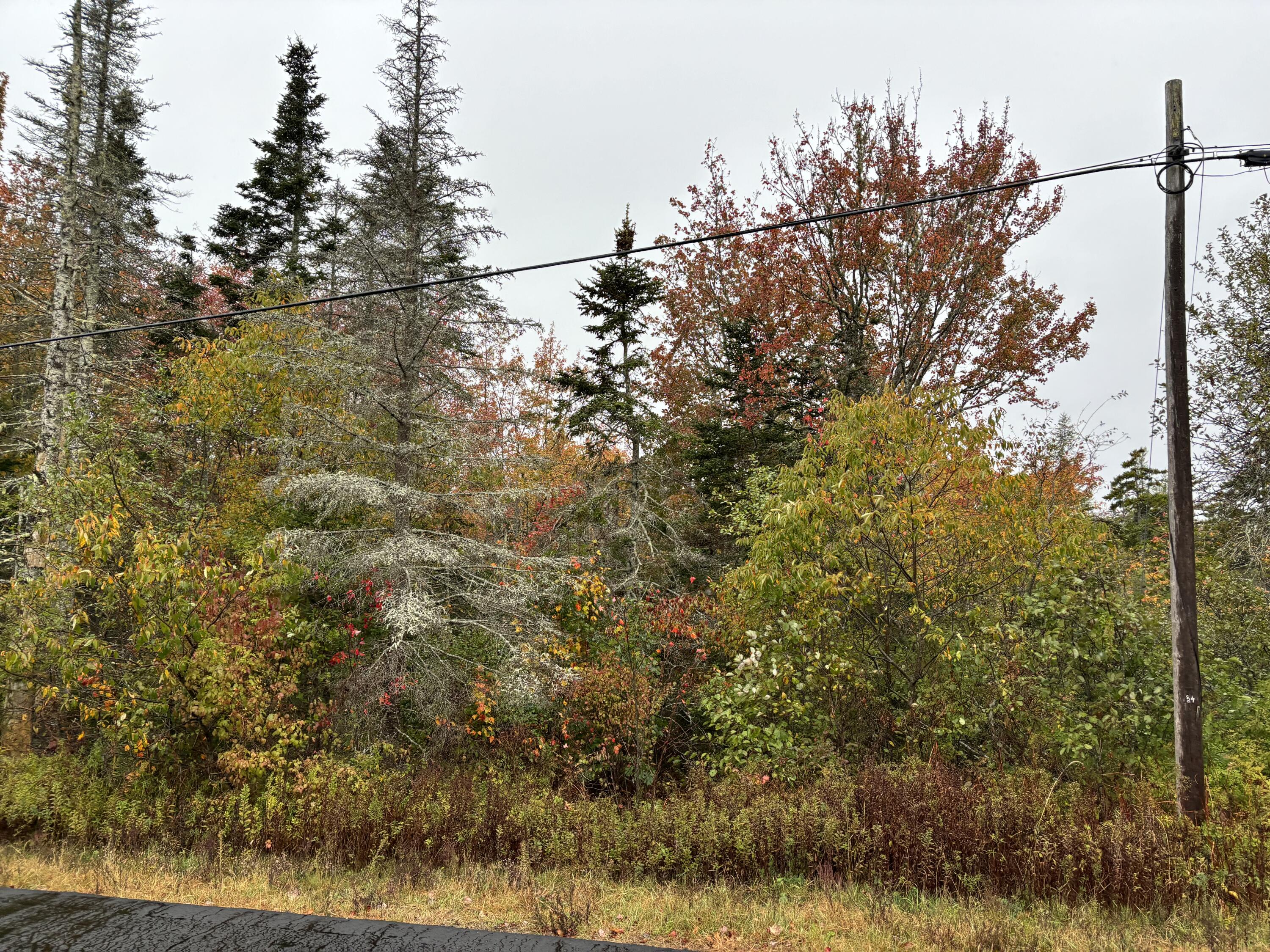 253 Hathorne Point Road, Cushing, ME, 04563