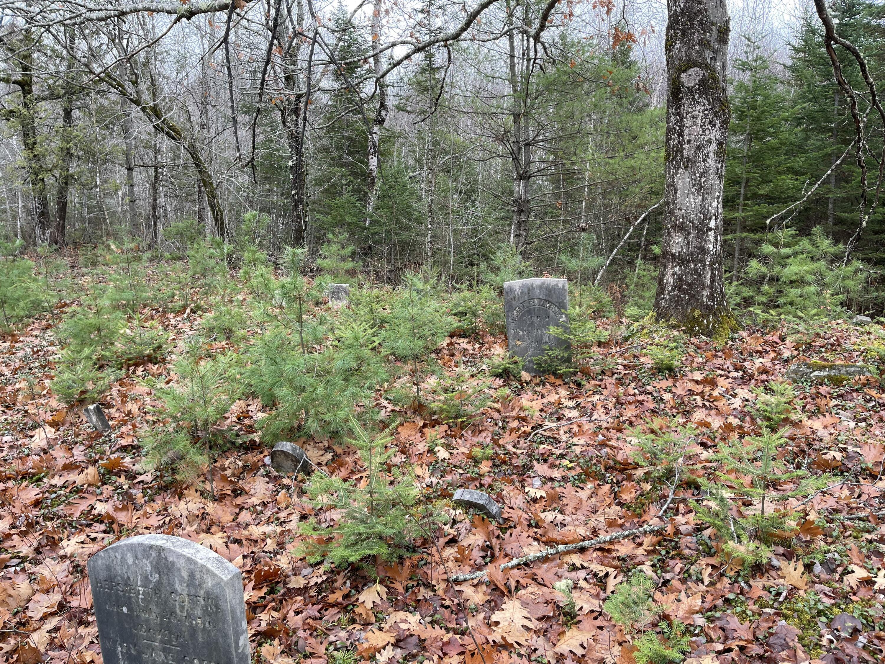 194 E Gulch Road, Thorndike, ME, 04986