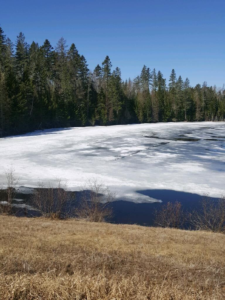 0 Carvell Road, Chapman, ME, 04757