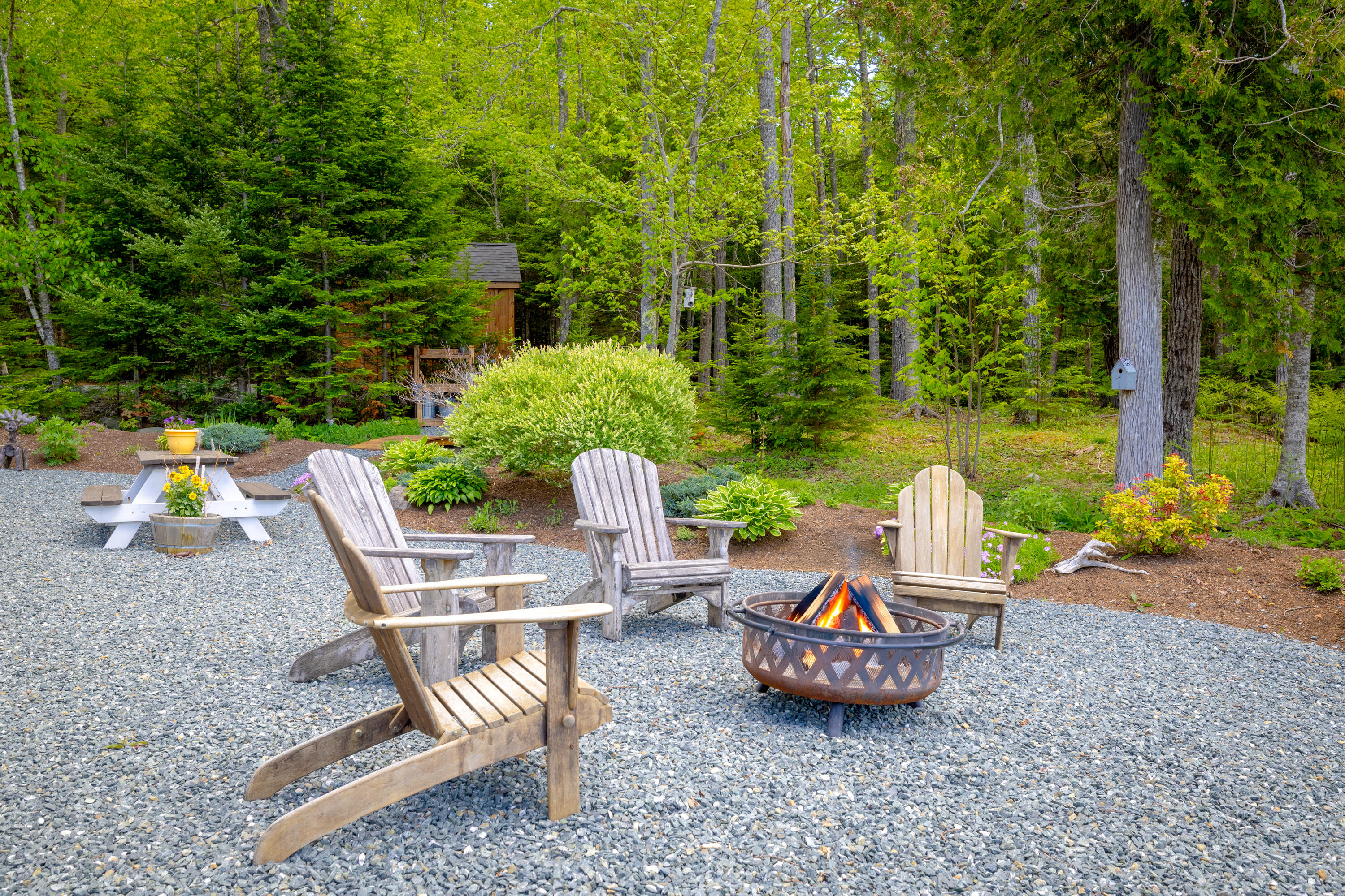 Side yard