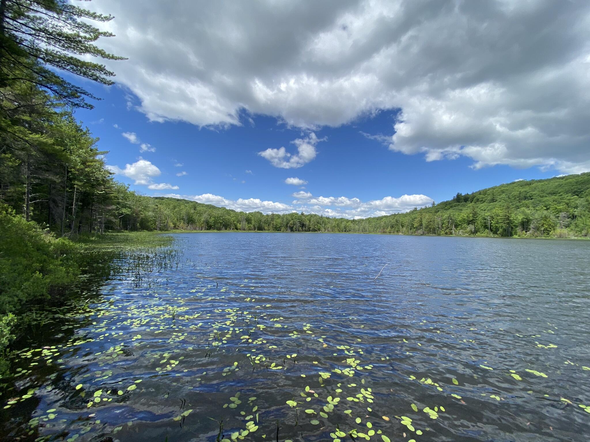 346 Bradeen Road, Sumner, ME, 04292