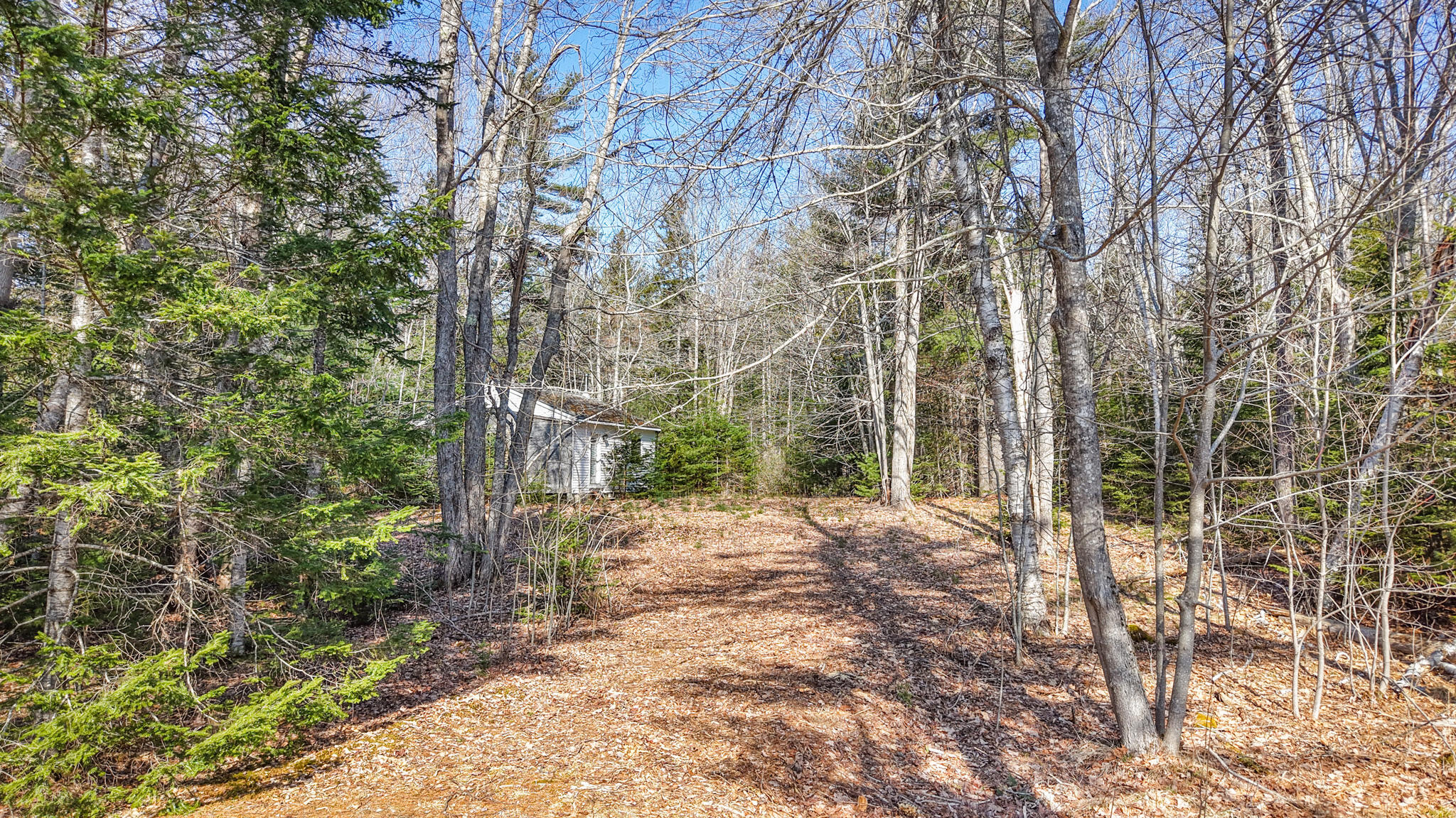 81 Old Route One, Hancock, ME, 04640