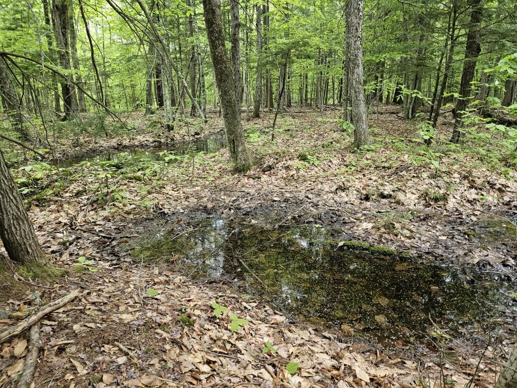 M10L44 Mountain View Road, Fryeburg, ME, 04037