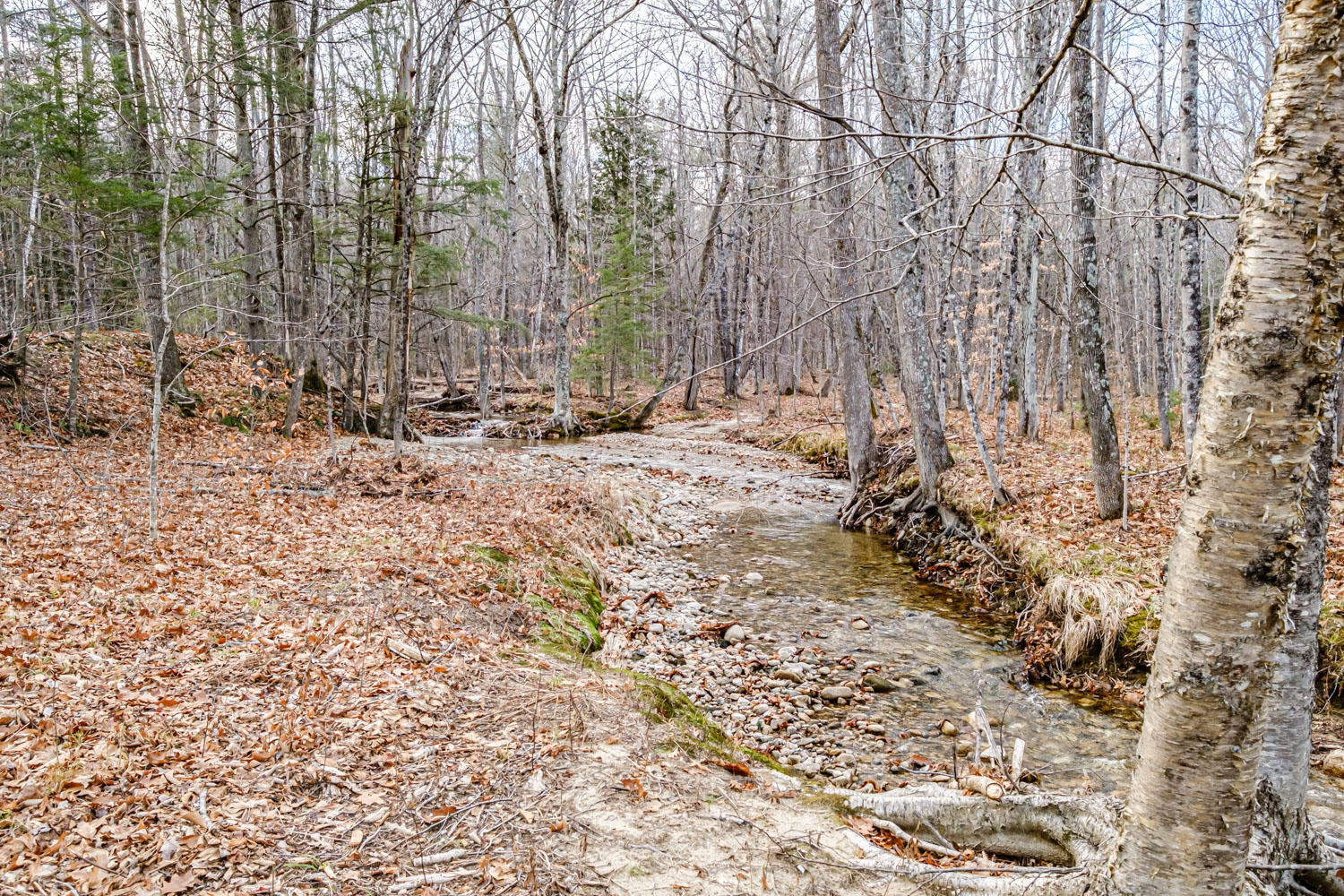 8 Deer Hill Road, Stow, ME, 04037