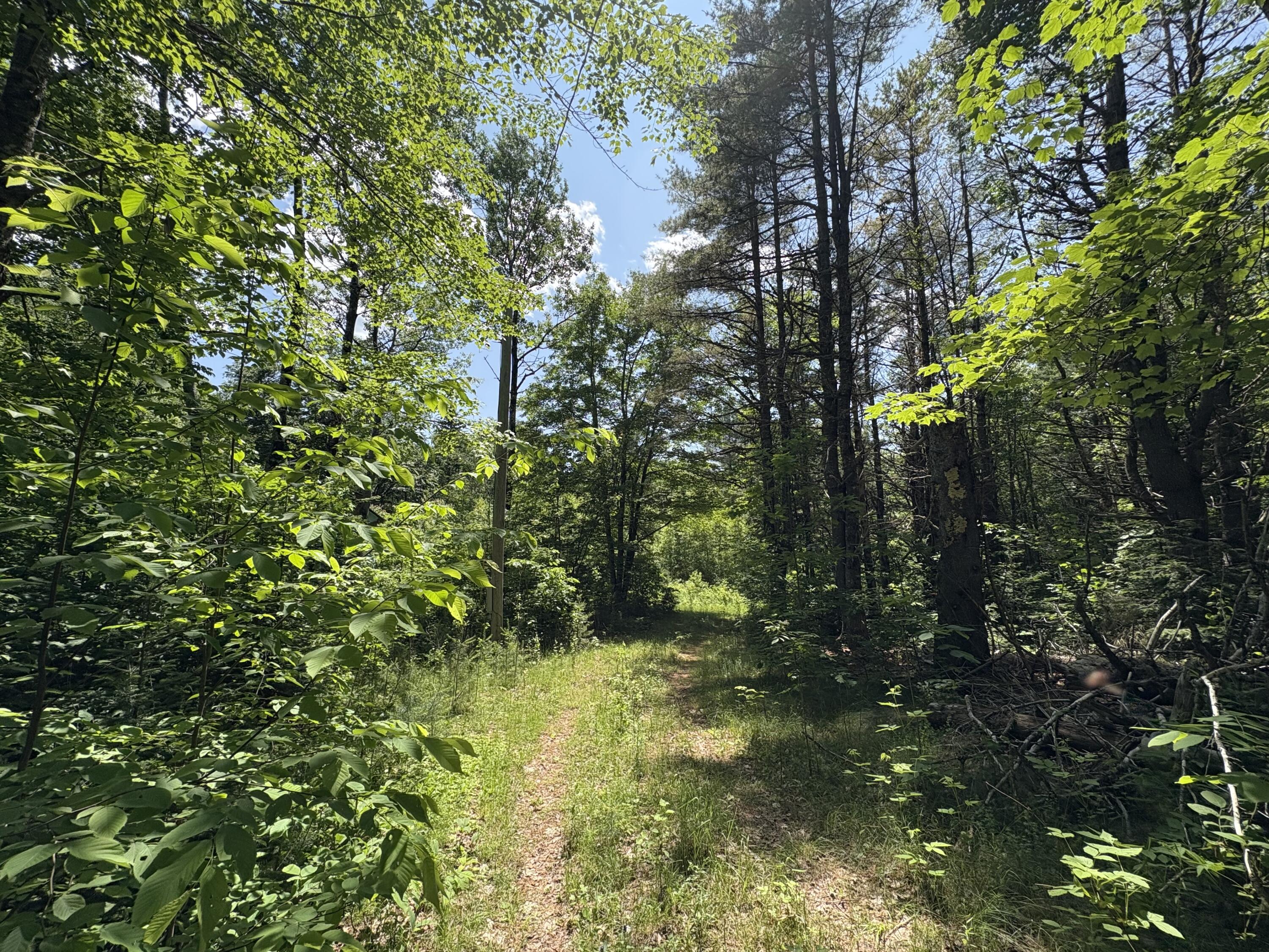 Off Andrews Road, Drew Plt, ME, 04497